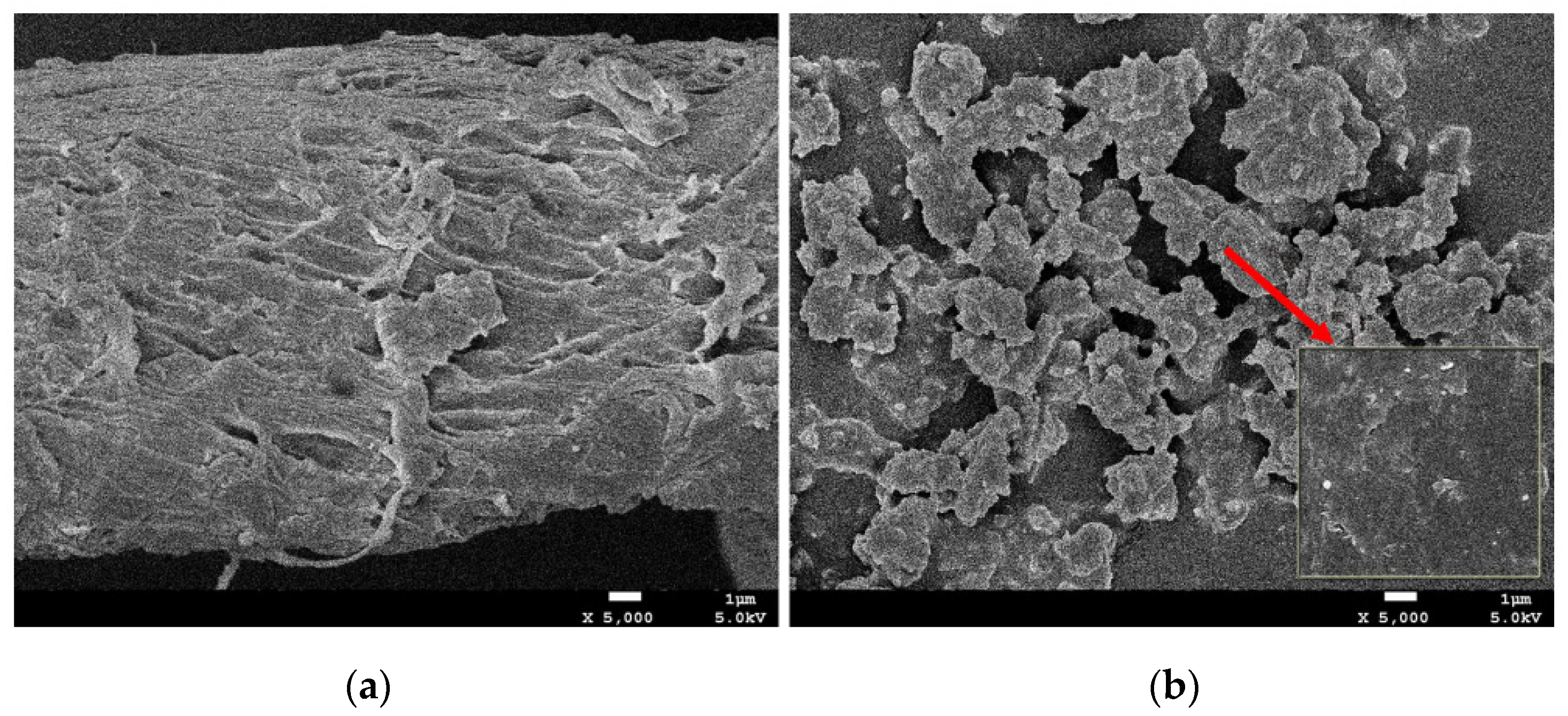 Polymers 15 02088 g004 Polymers 15 02088 g004
