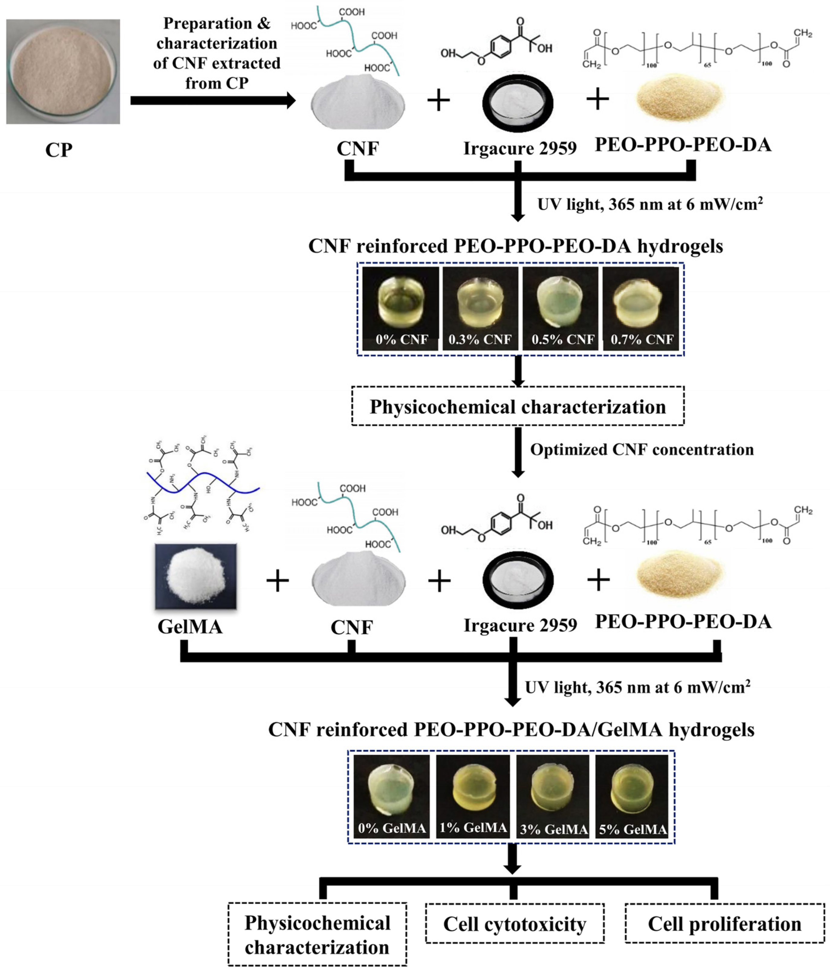 Polymers 15 02092 g001