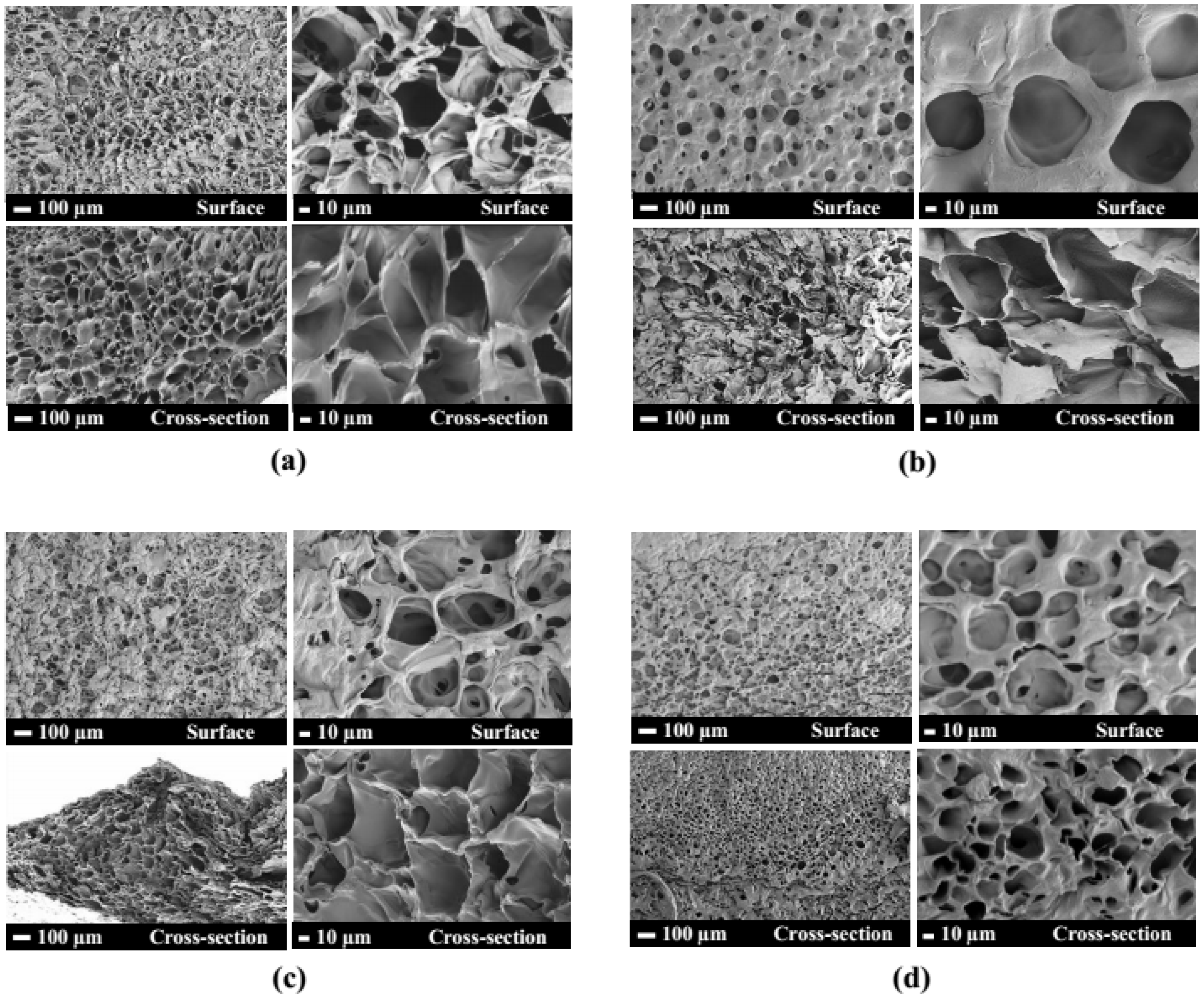 Polymers 15 02092 g005