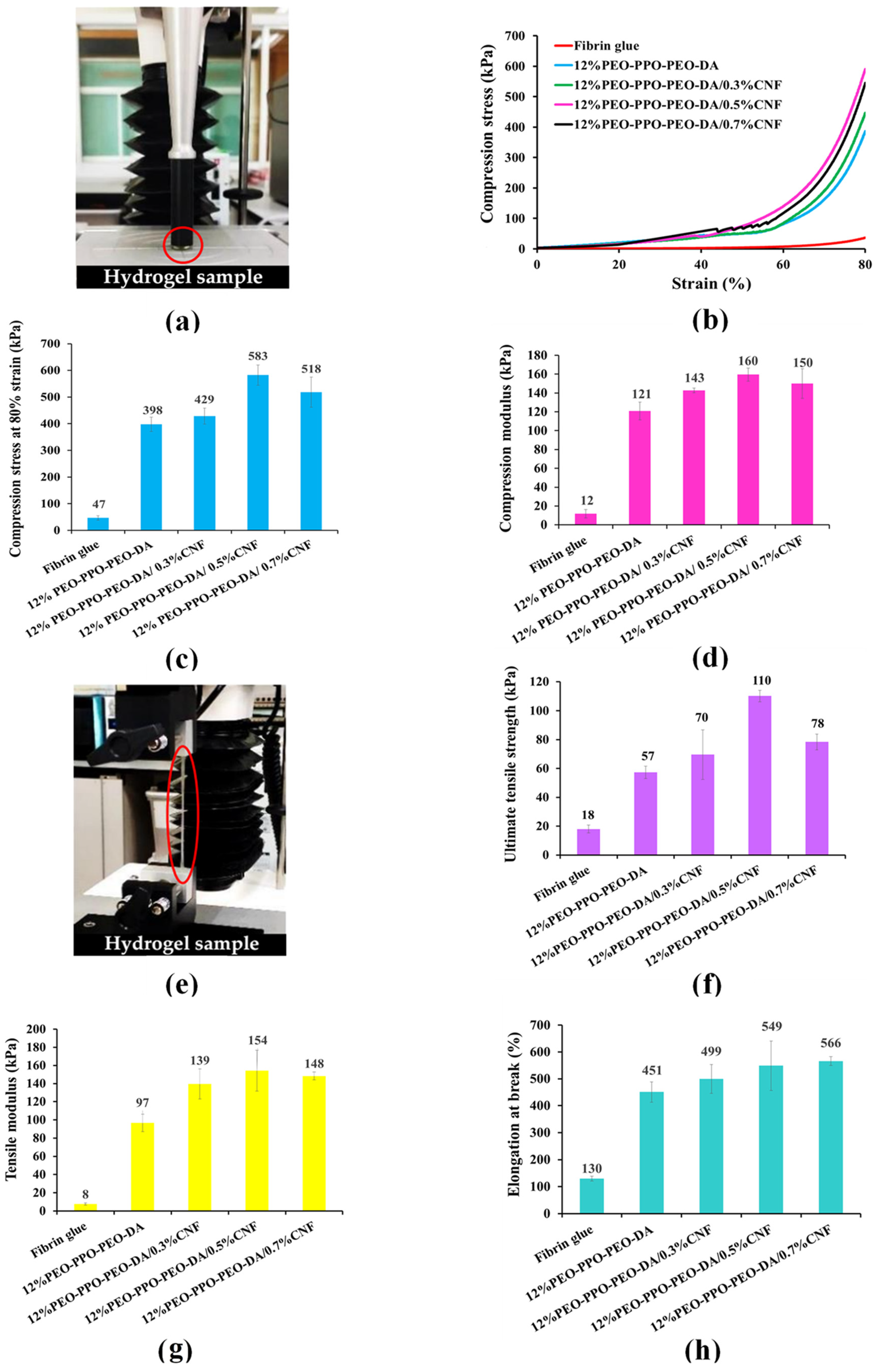 Polymers 15 02092 g007