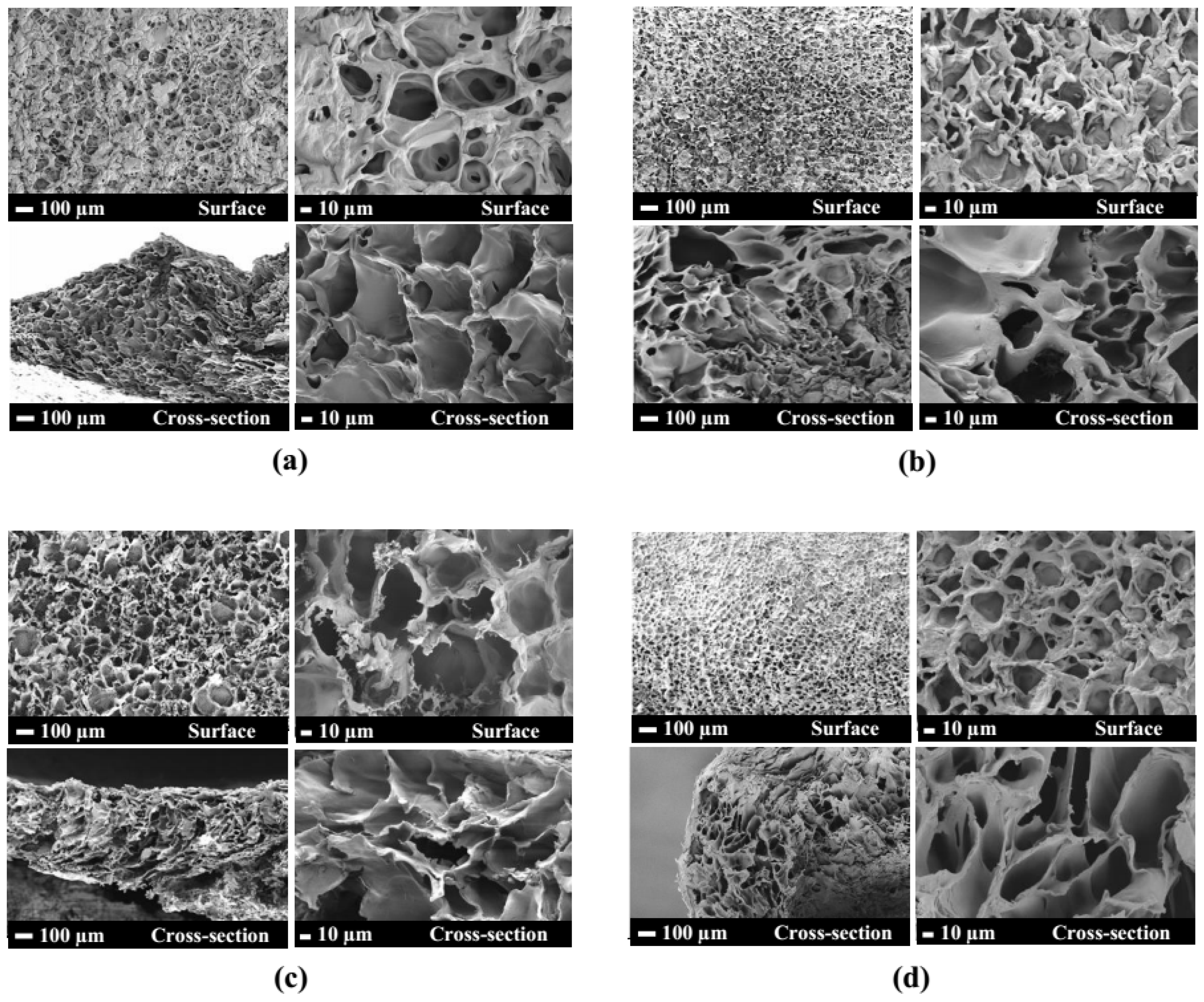 Polymers 15 02092 g009