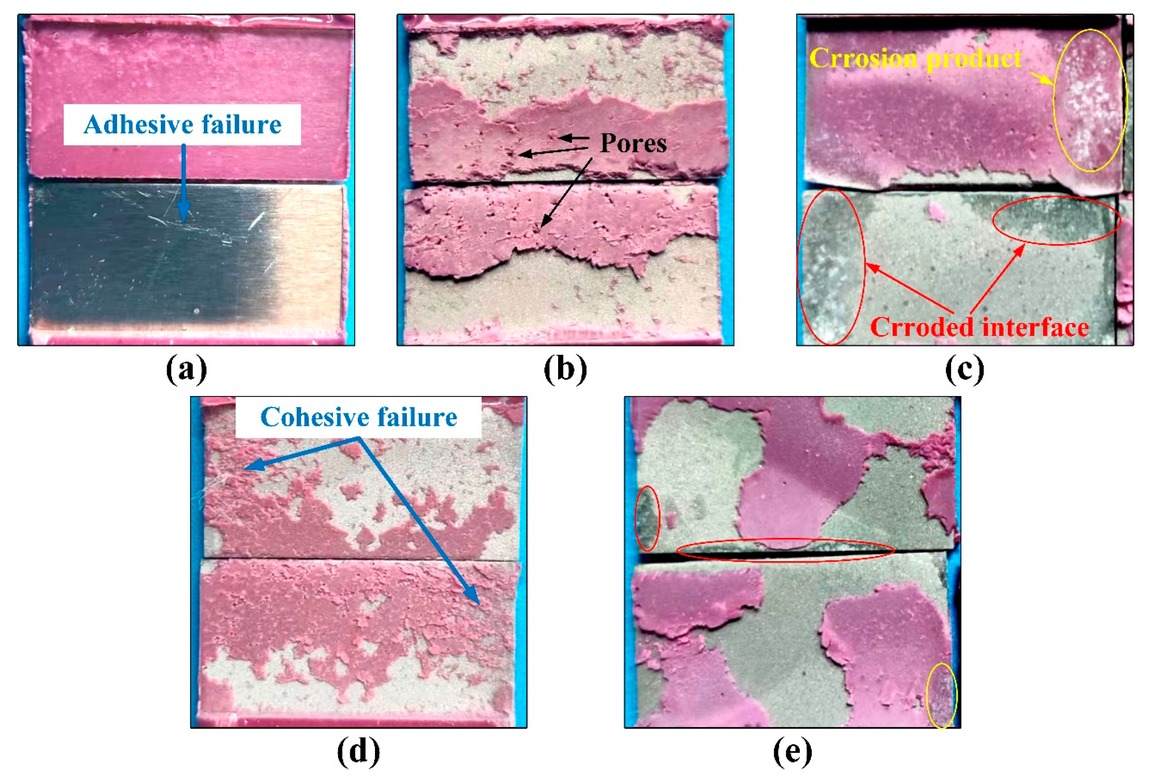 Polymers 15 02098 g007