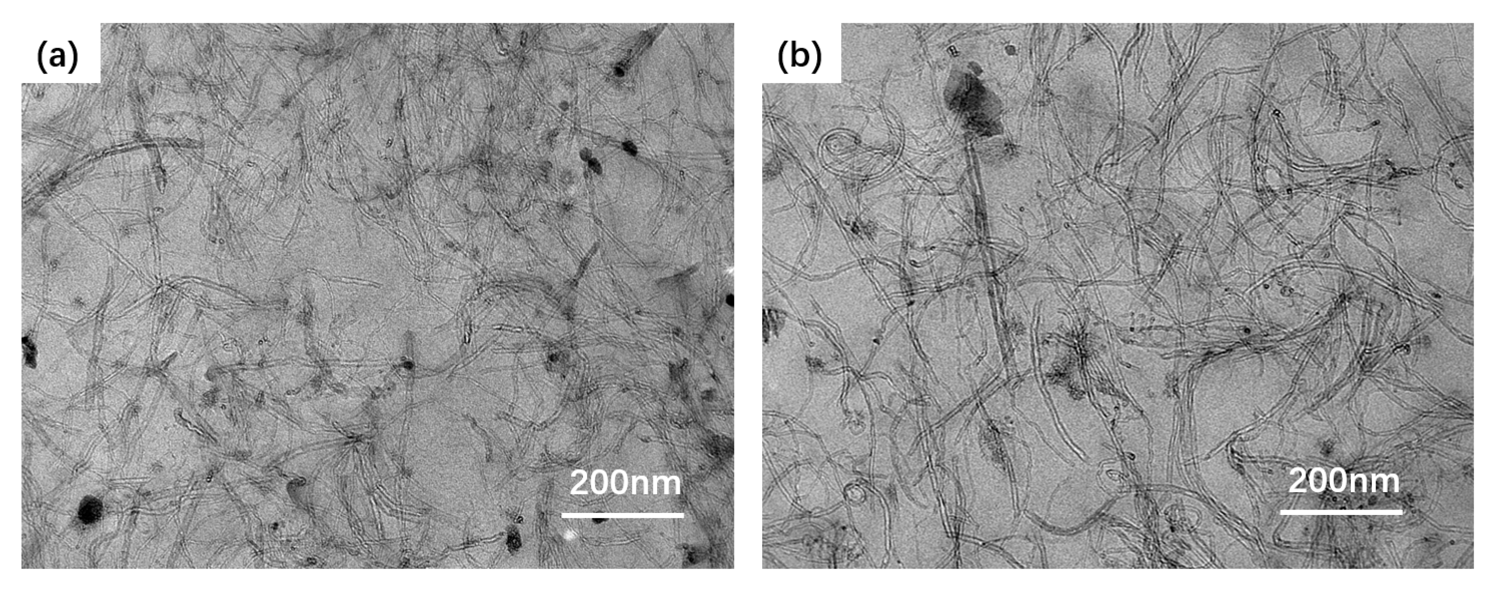 Polymers 15 02101 g001