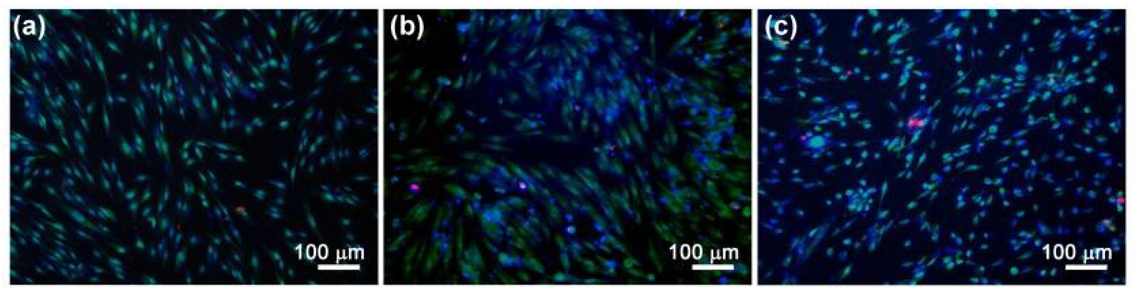 Polymers 15 02106 g014 Polymers 15 02106 g014