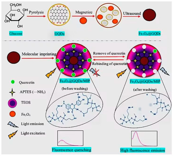 Advances in Molecular Imprinting Technology for the