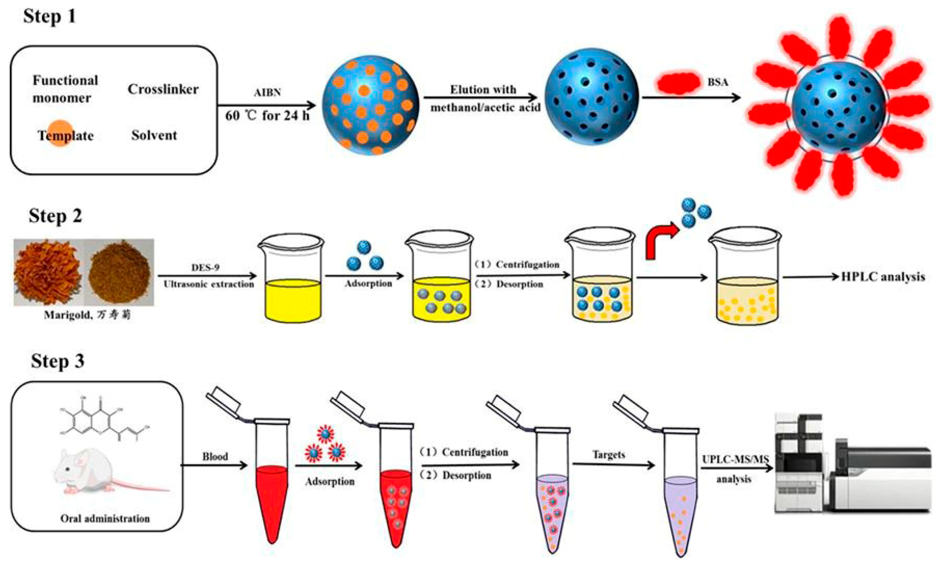 Polymers 15 02107 g004