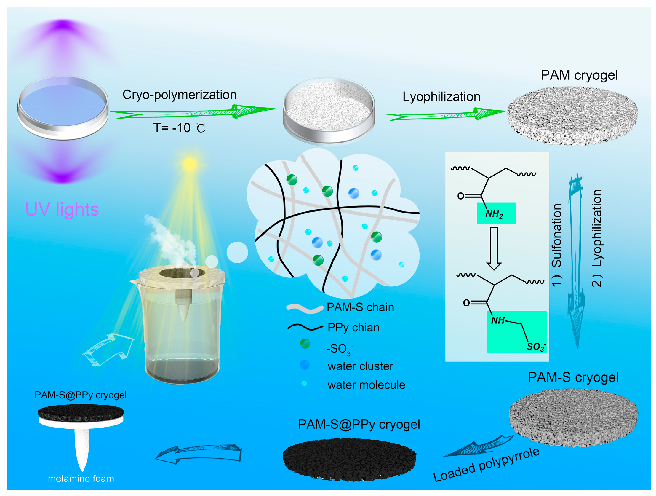 Polymers 15 02108 g002