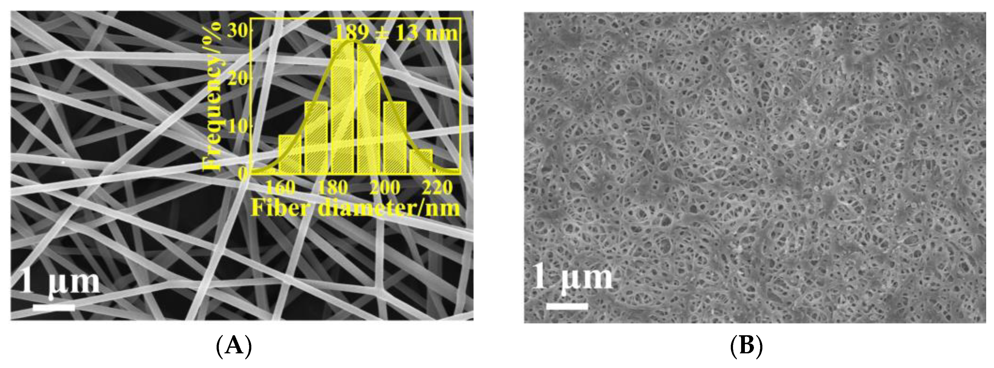 Polymers 15 02110 g002a