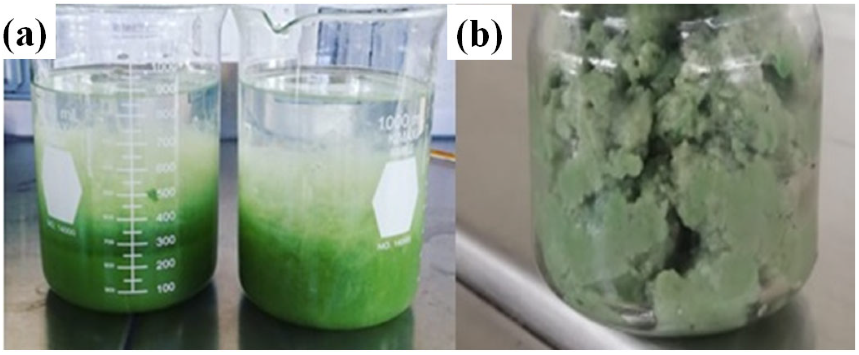 Polymers 15 02112 g001 Polymers 15 02112 g001