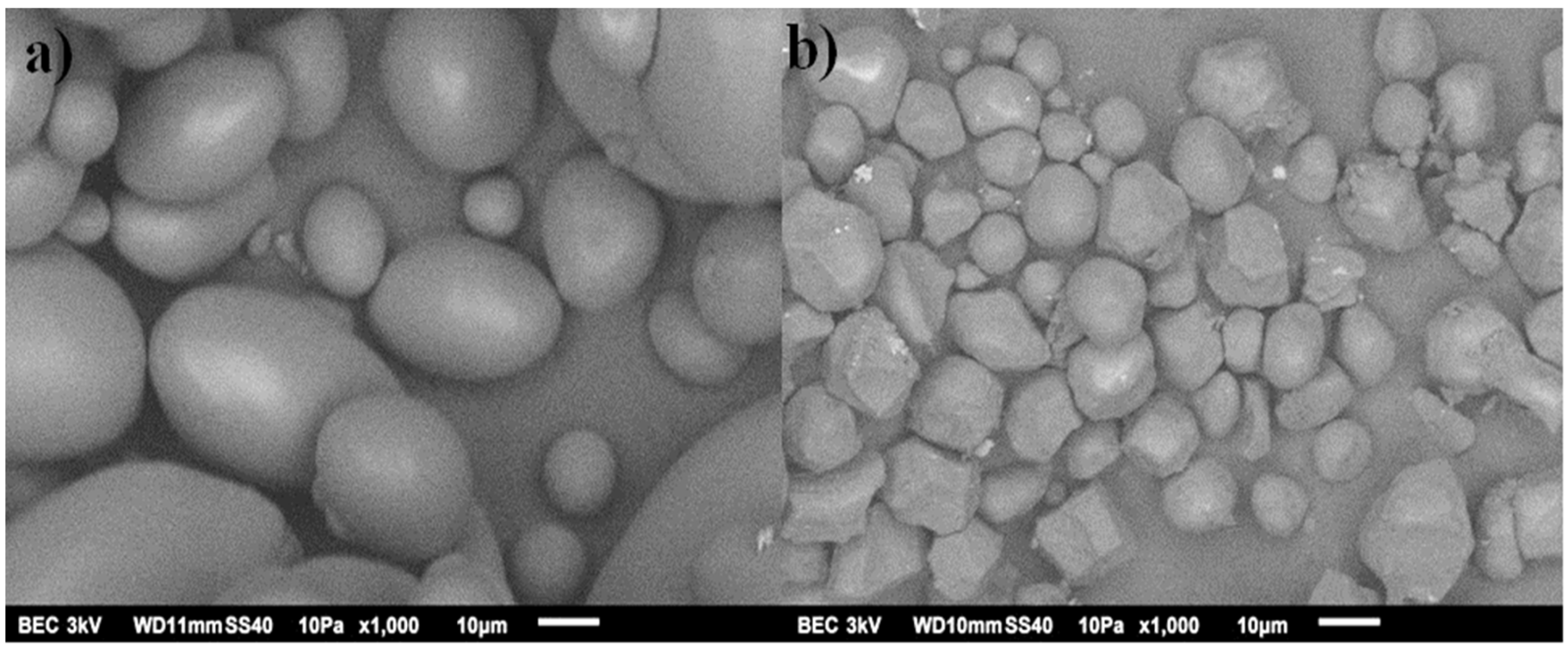 Polymers 15 02112 g005 Polymers 15 02112 g005
