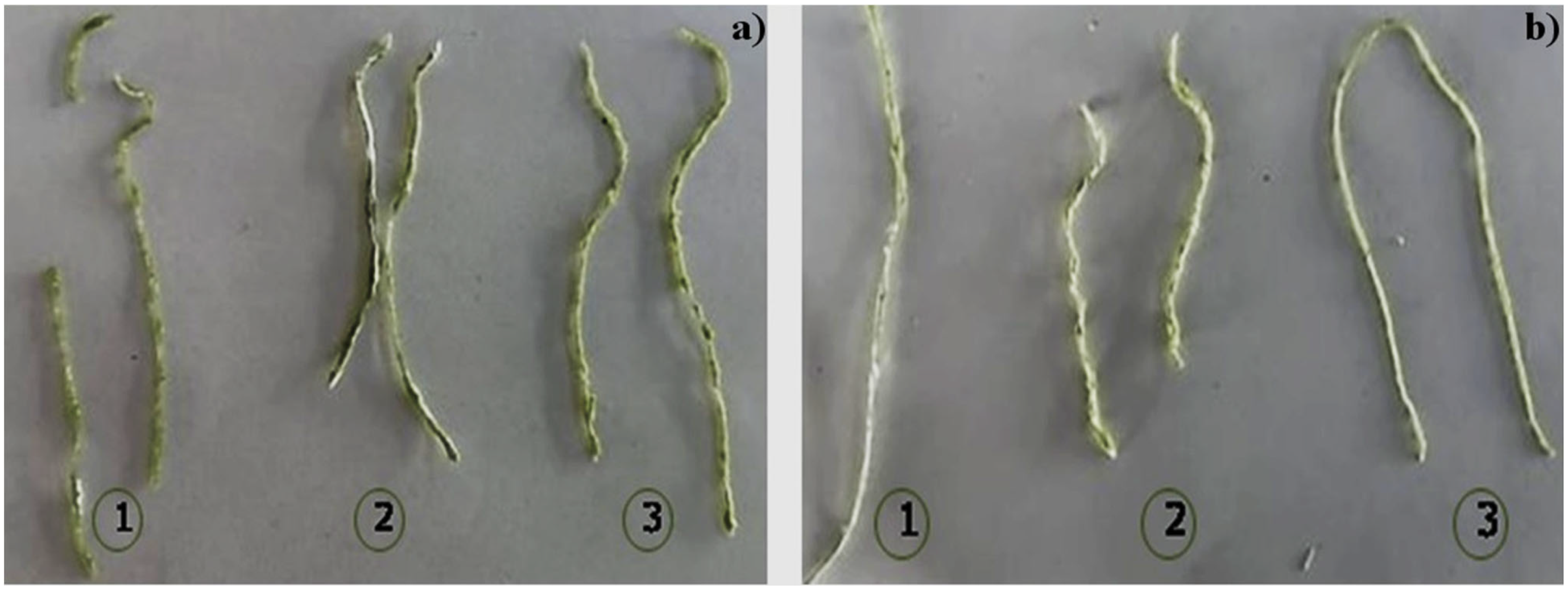 Polymers 15 02112 g010 Polymers 15 02112 g010
