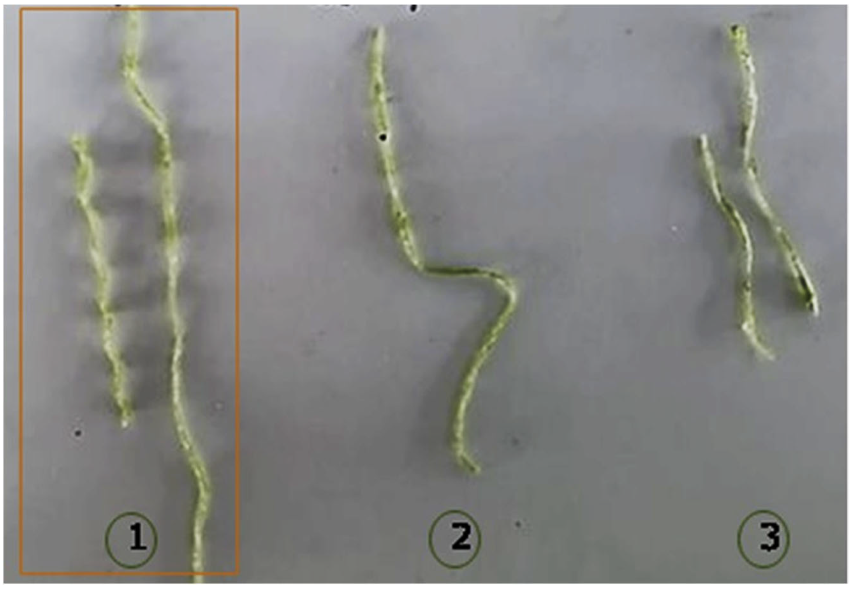 Polymers 15 02112 g011 Polymers 15 02112 g011