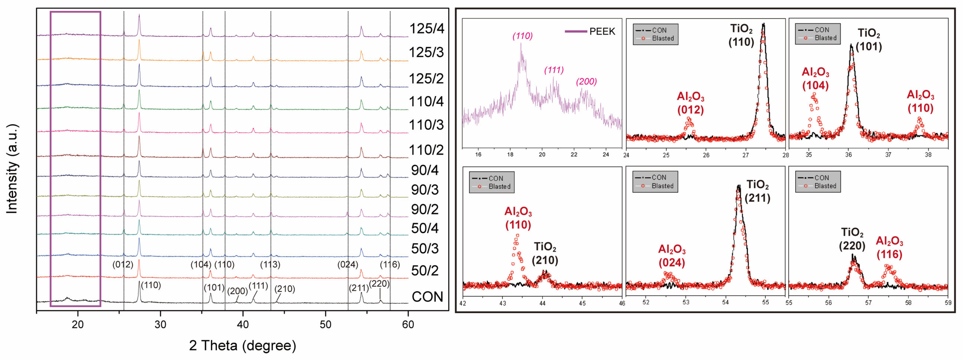 Polymers 15 02114 g002