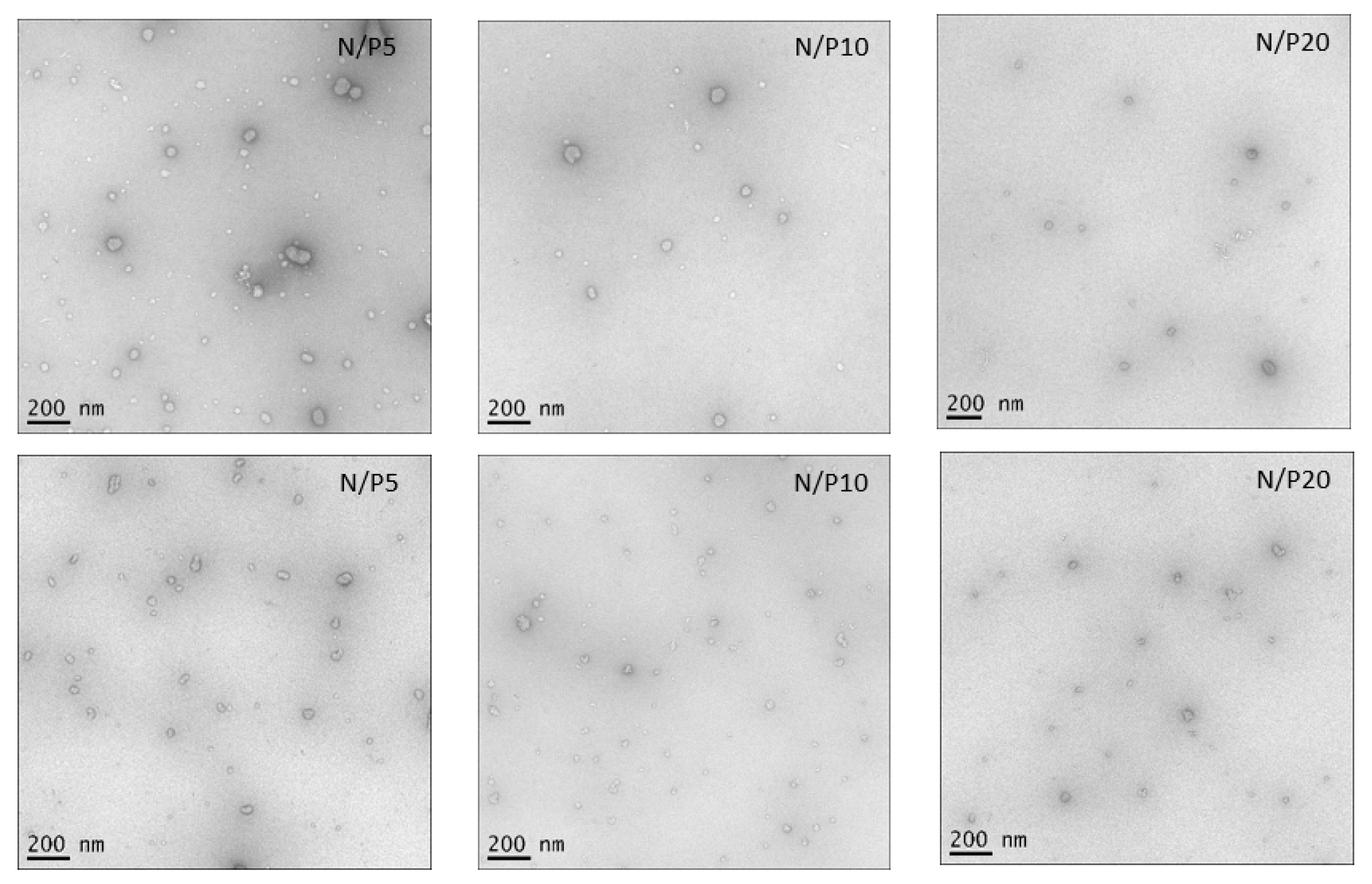 Polymers 15 02115 g012 550