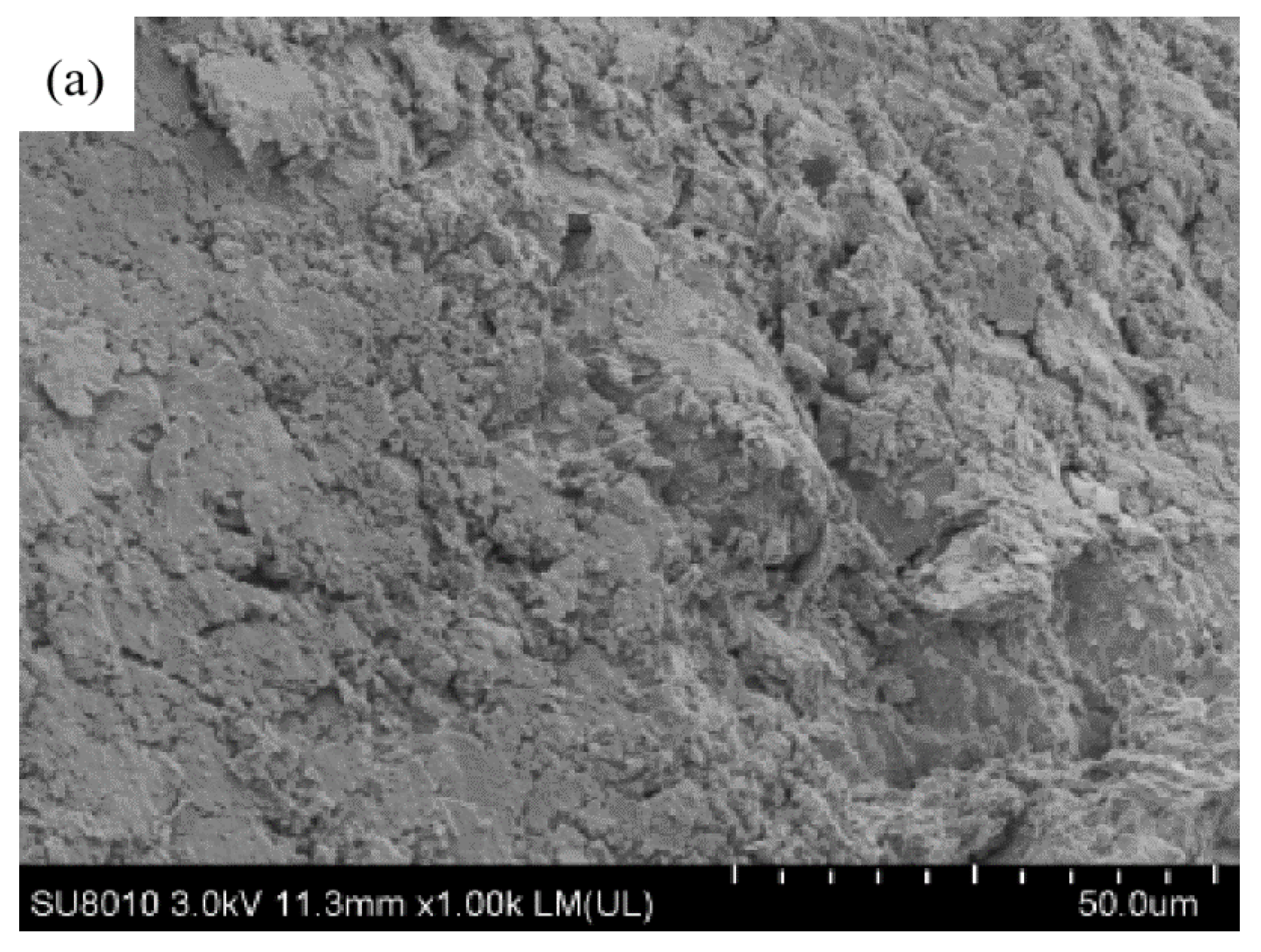 Polymers 15 02118 g010a Polymers 15 02118 g010a