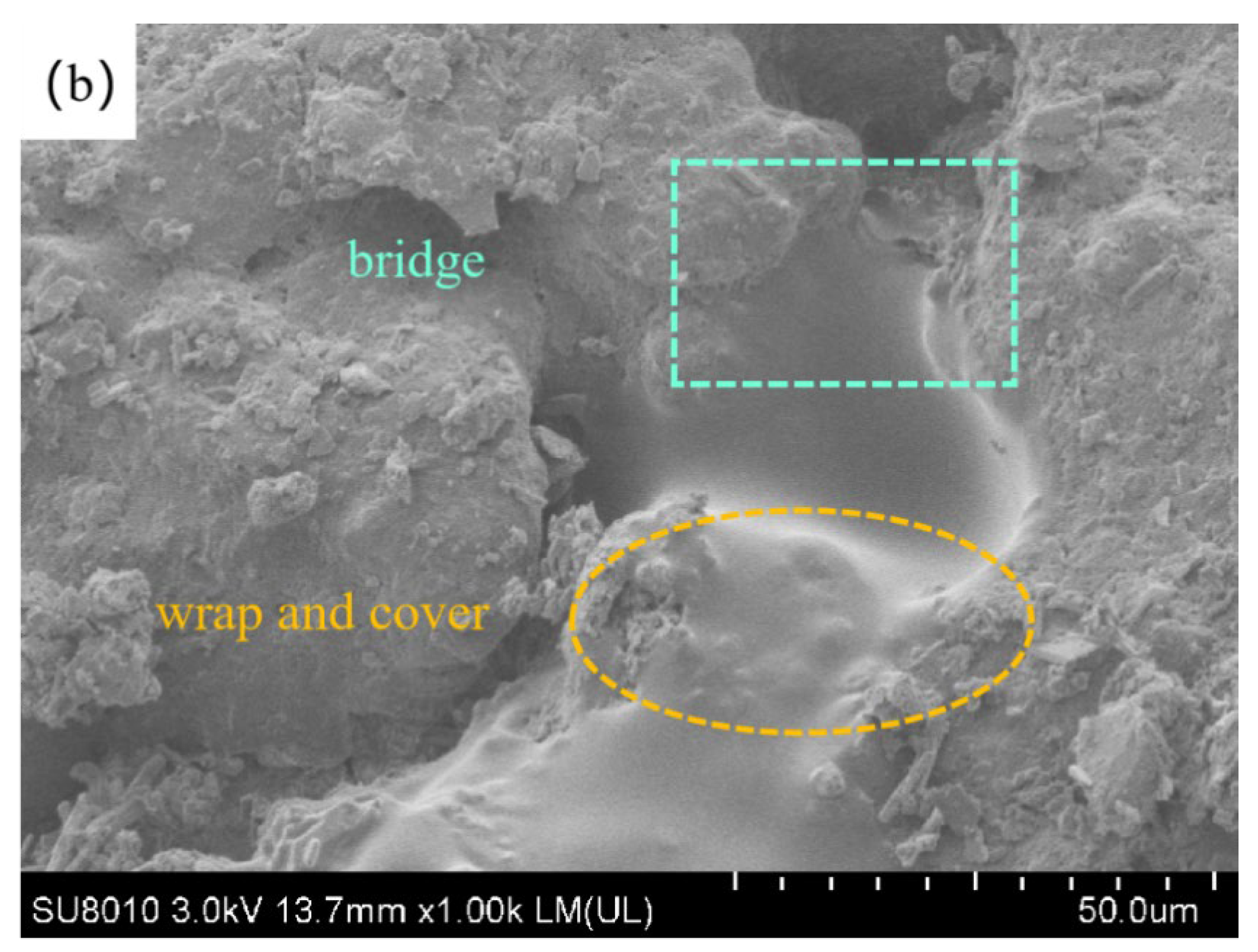 Polymers 15 02118 g010b Polymers 15 02118 g010b
