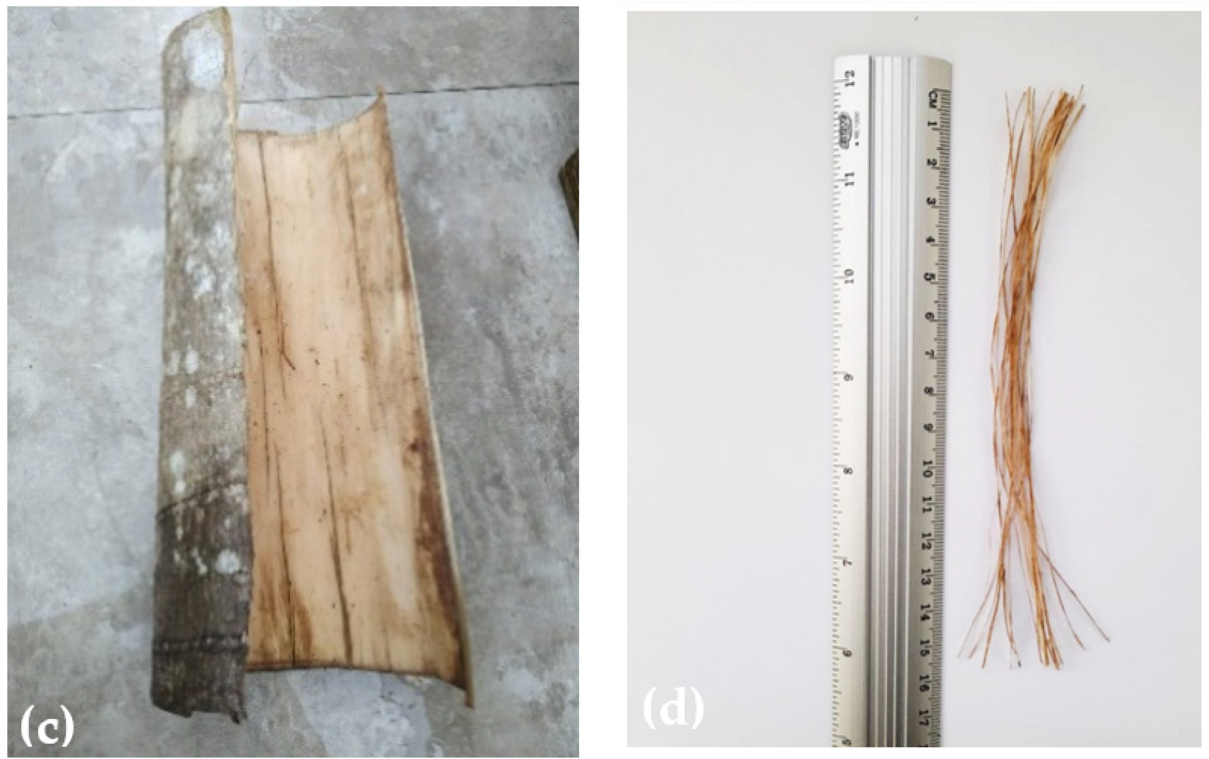 Polymers 15 02120 g002b