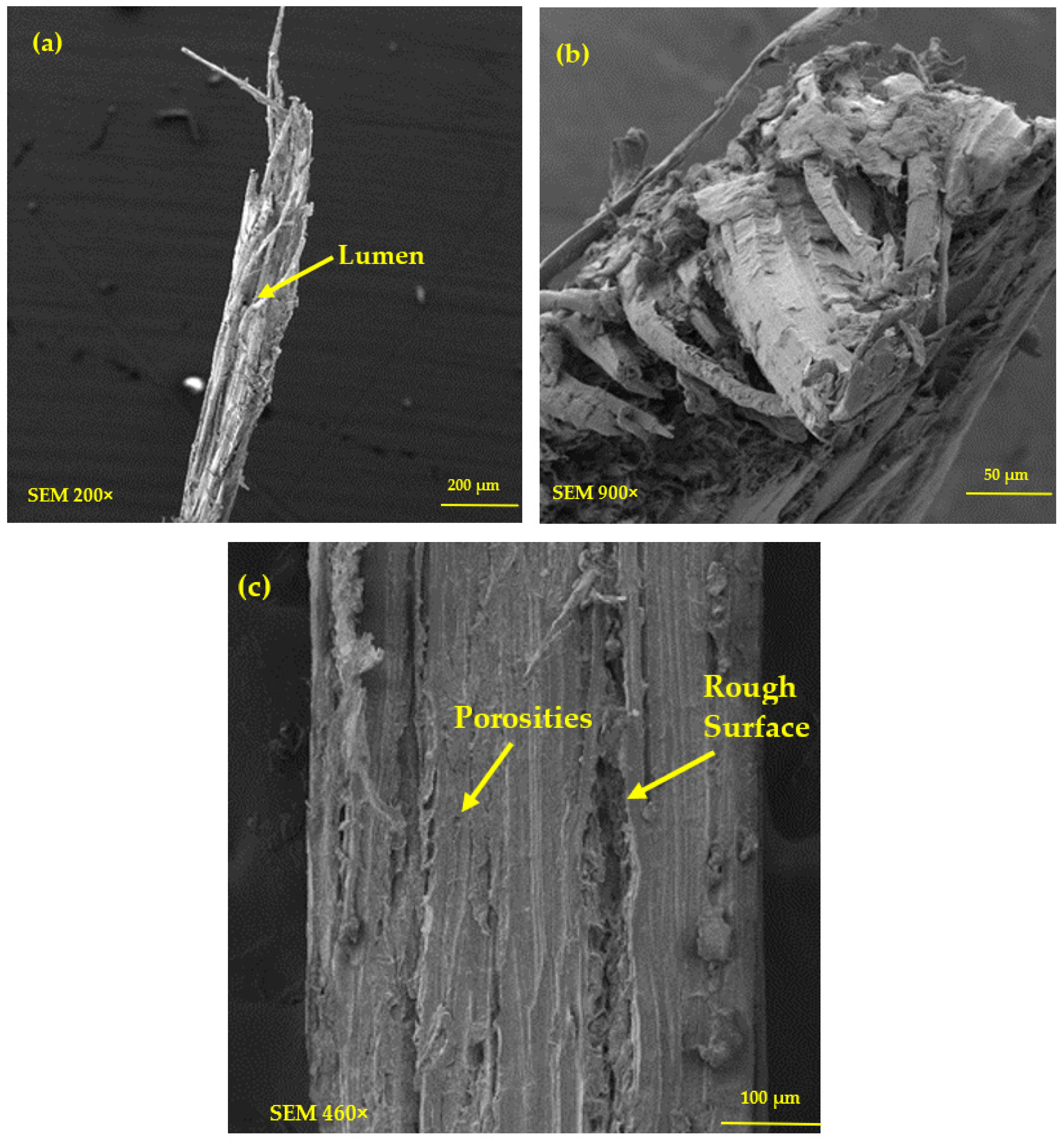 Polymers 15 02120 g007