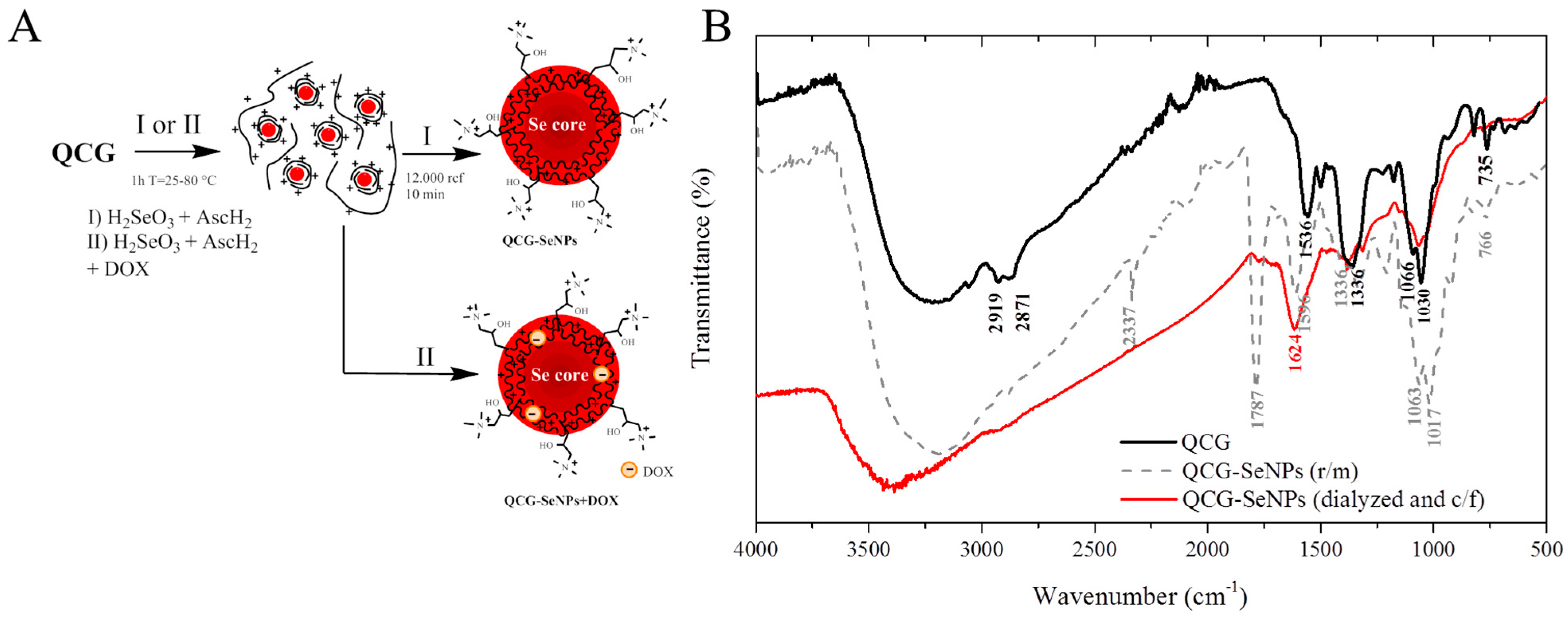 Polymers 15 02123 g002 Polymers 15 02123 g002