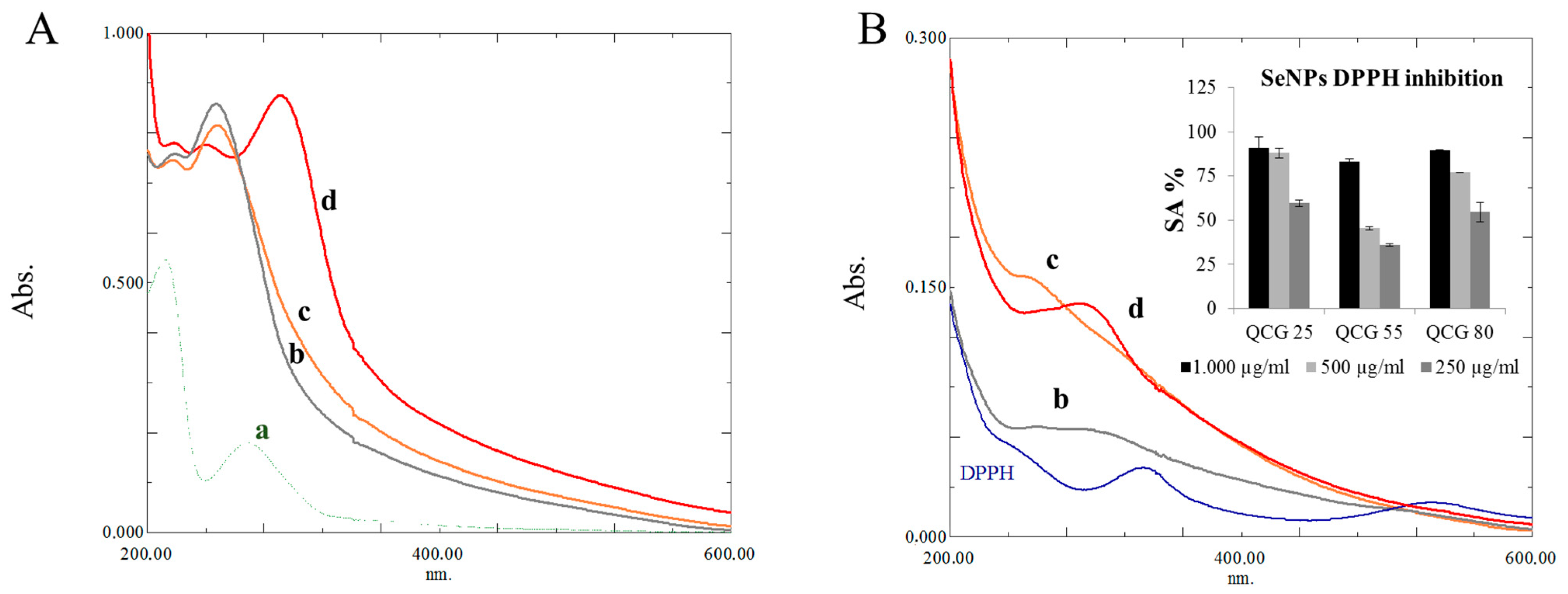 Polymers 15 02123 g003 Polymers 15 02123 g003