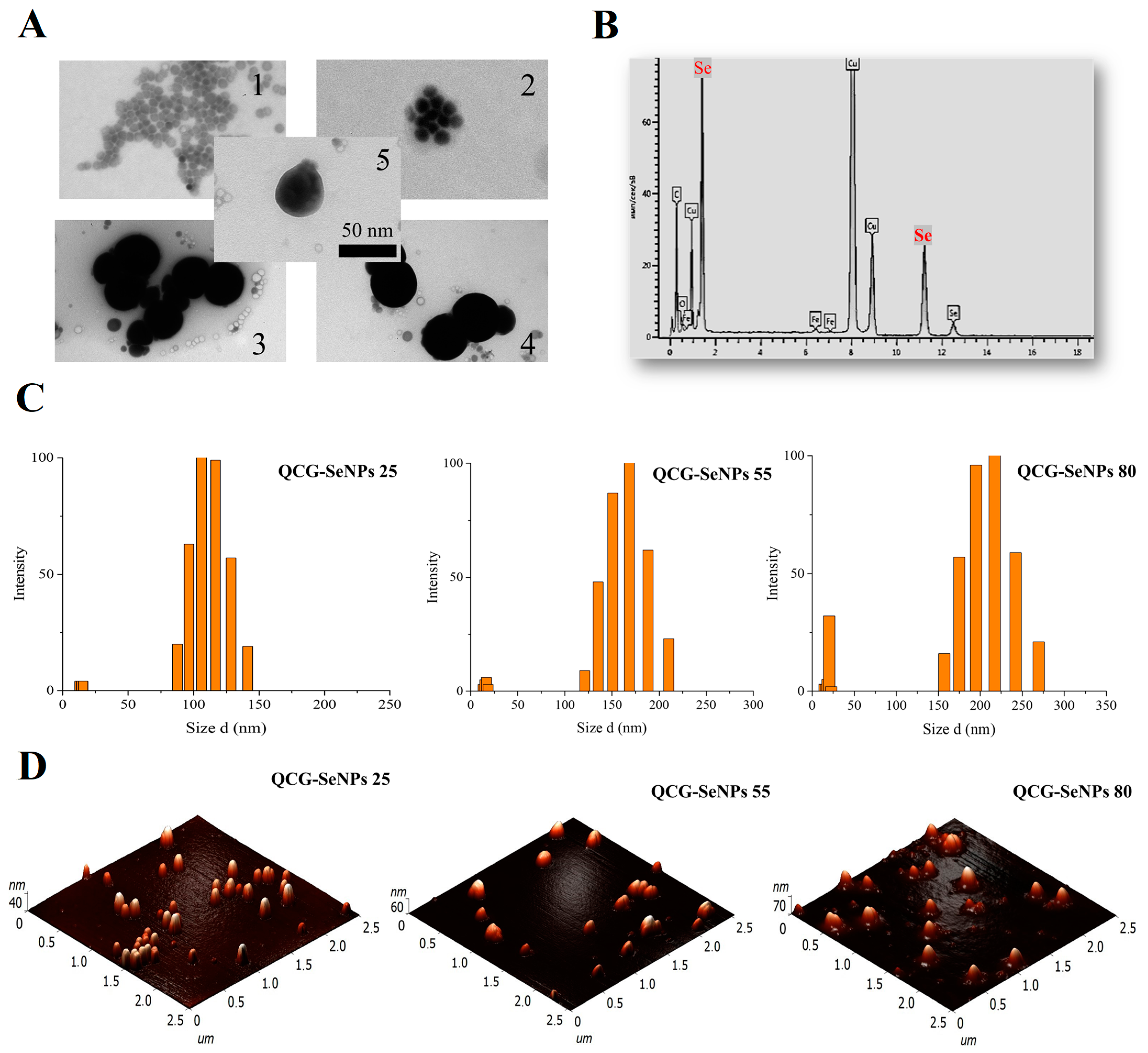 Polymers 15 02123 g004 Polymers 15 02123 g004