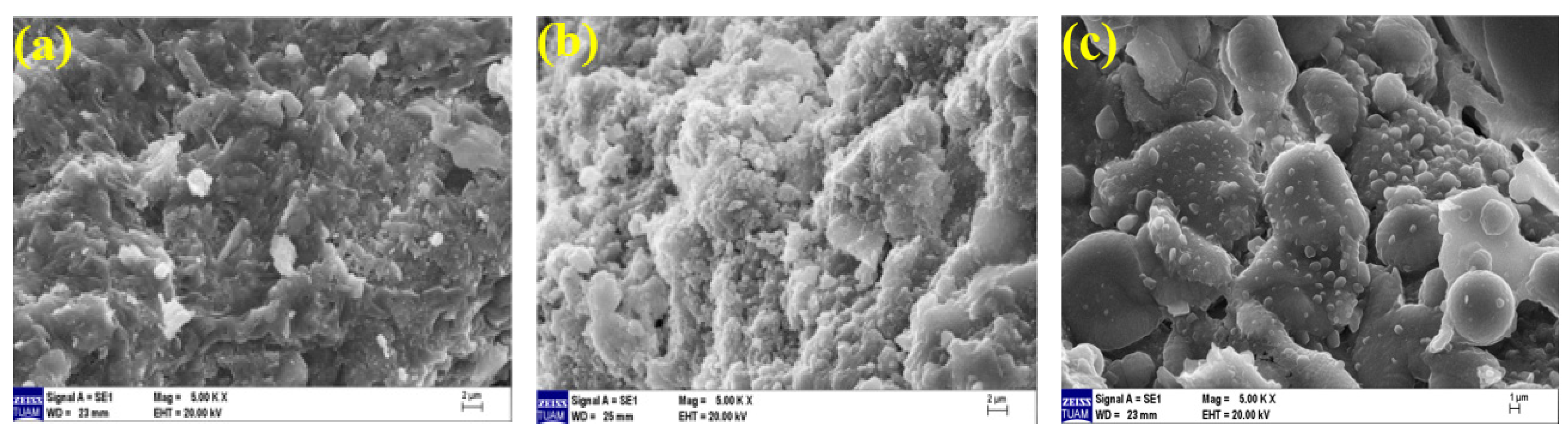 Polymers 15 02127 g022