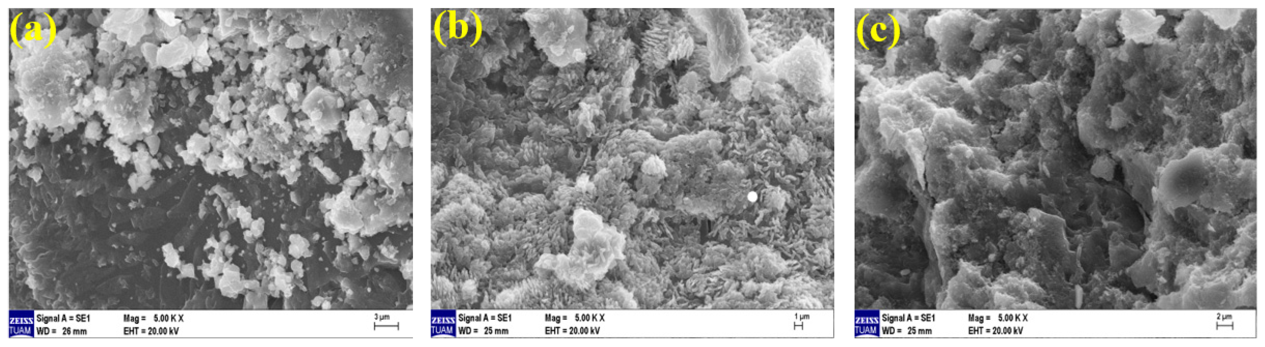 Polymers 15 02127 g023
