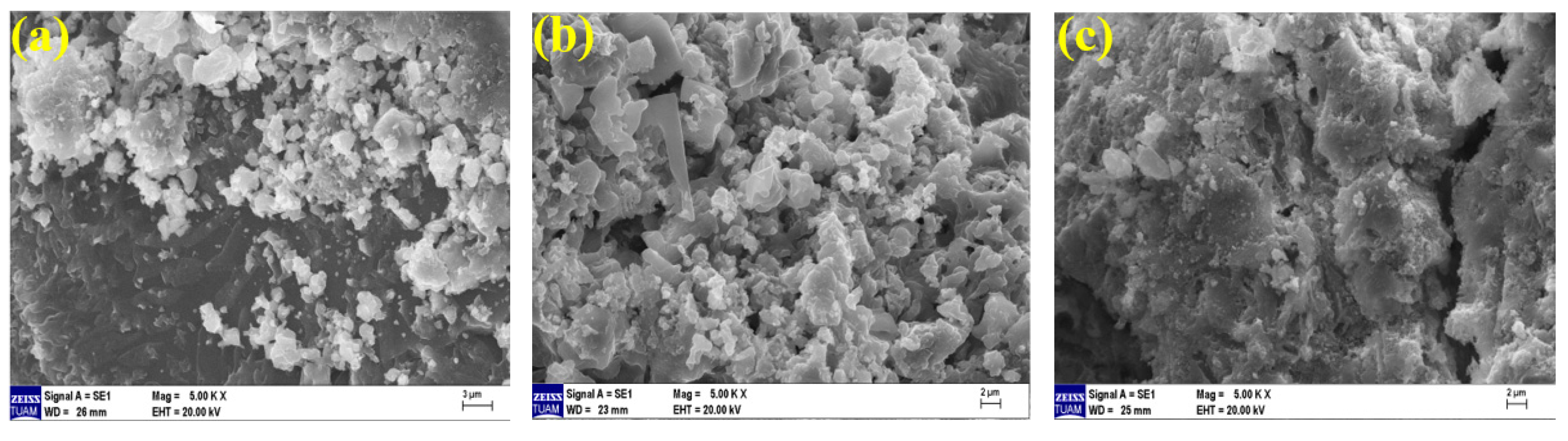Polymers 15 02127 g025