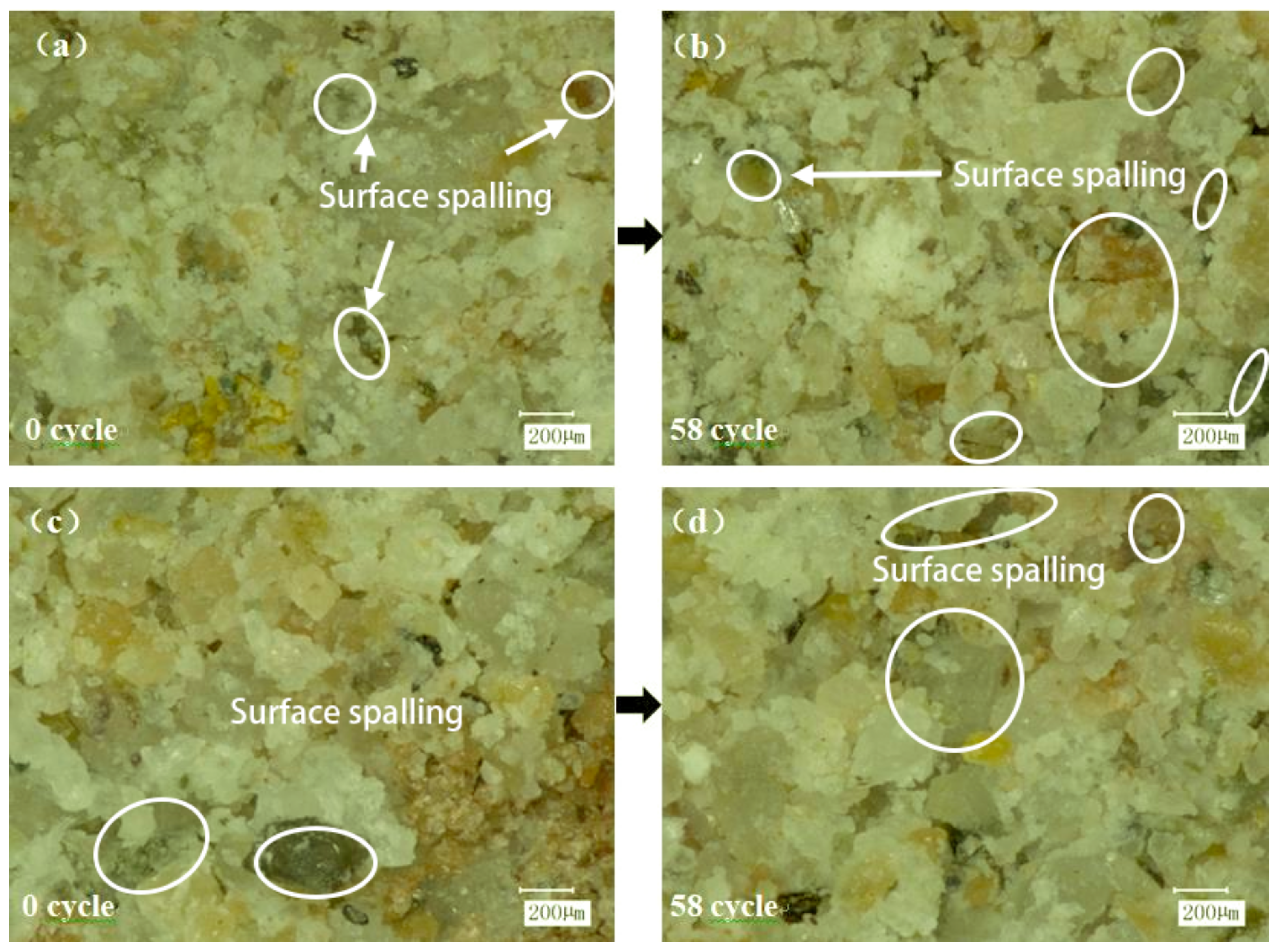 Polymers 15 02131 g015 Polymers 15 02131 g015