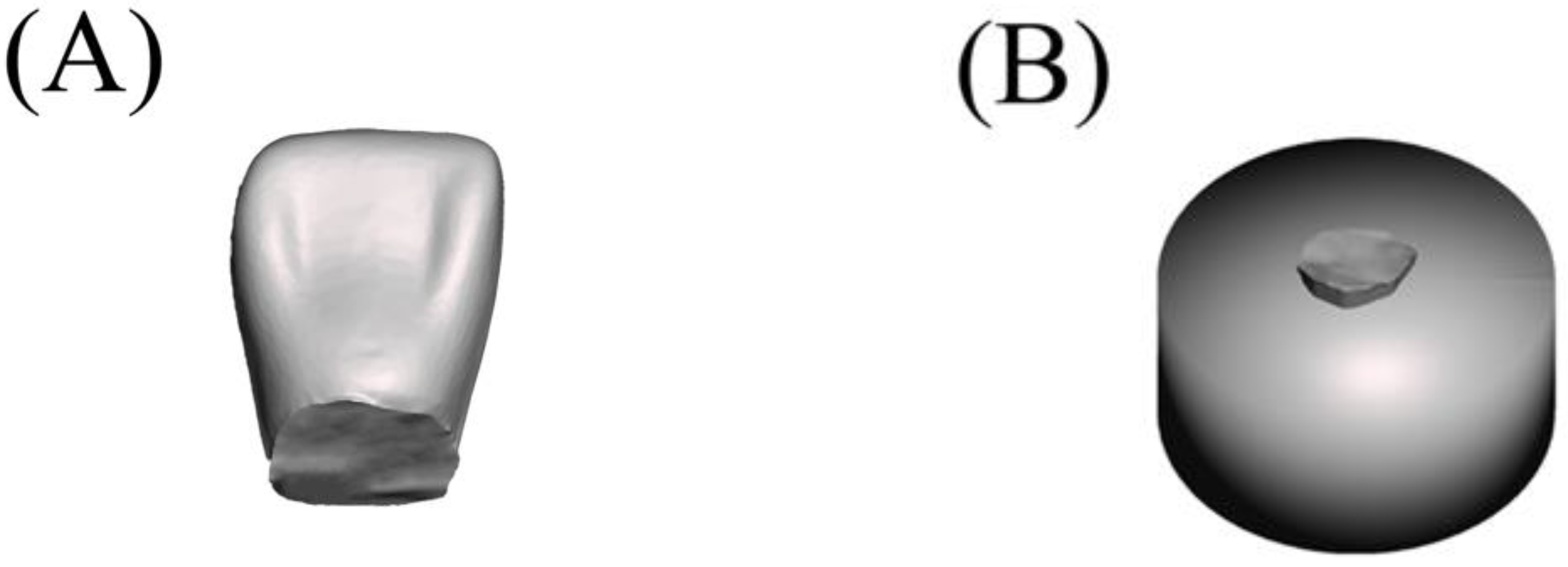 Polymers 15 02134 g002 Polymers 15 02134 g002