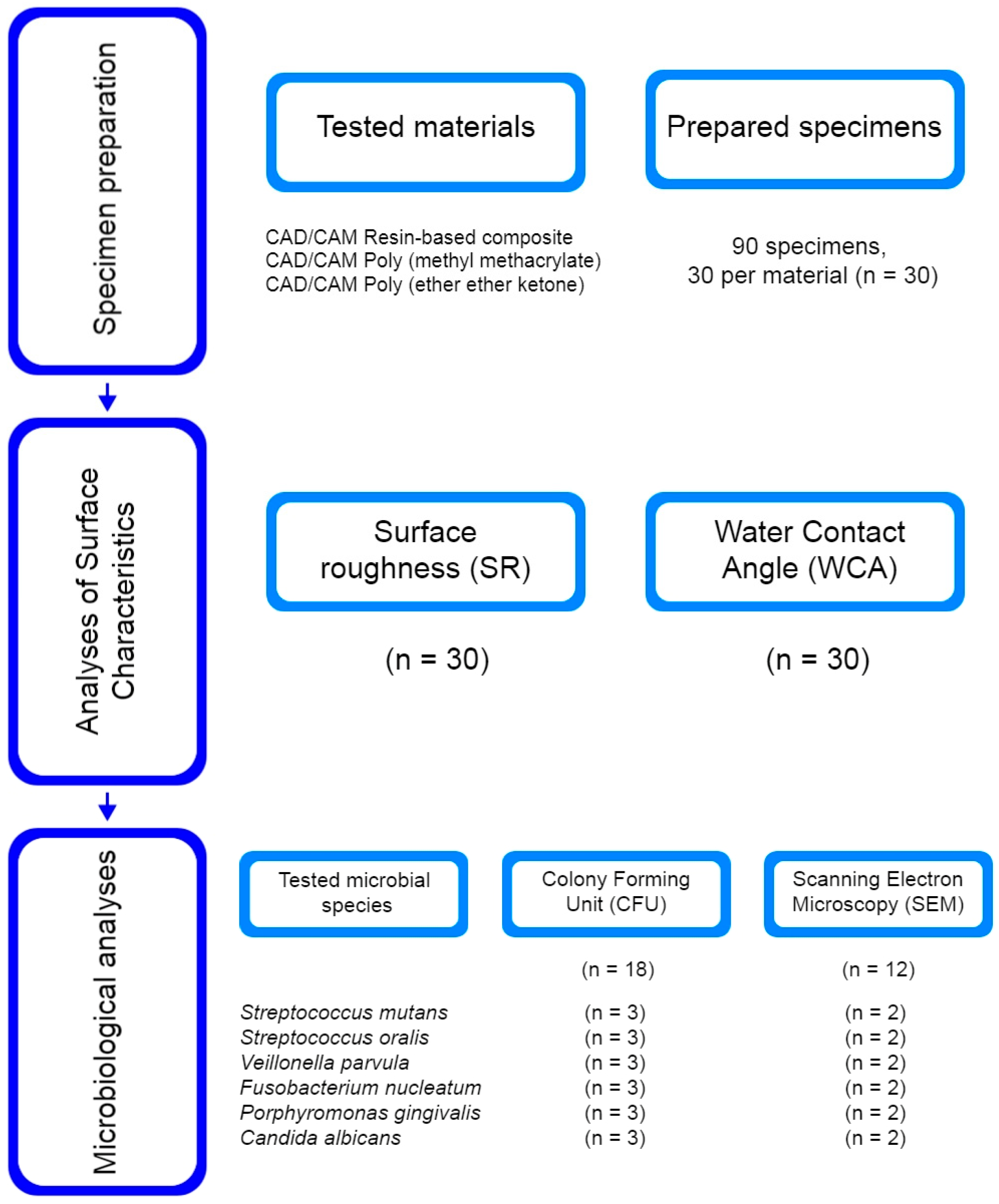 Polymers 15 02140 g001