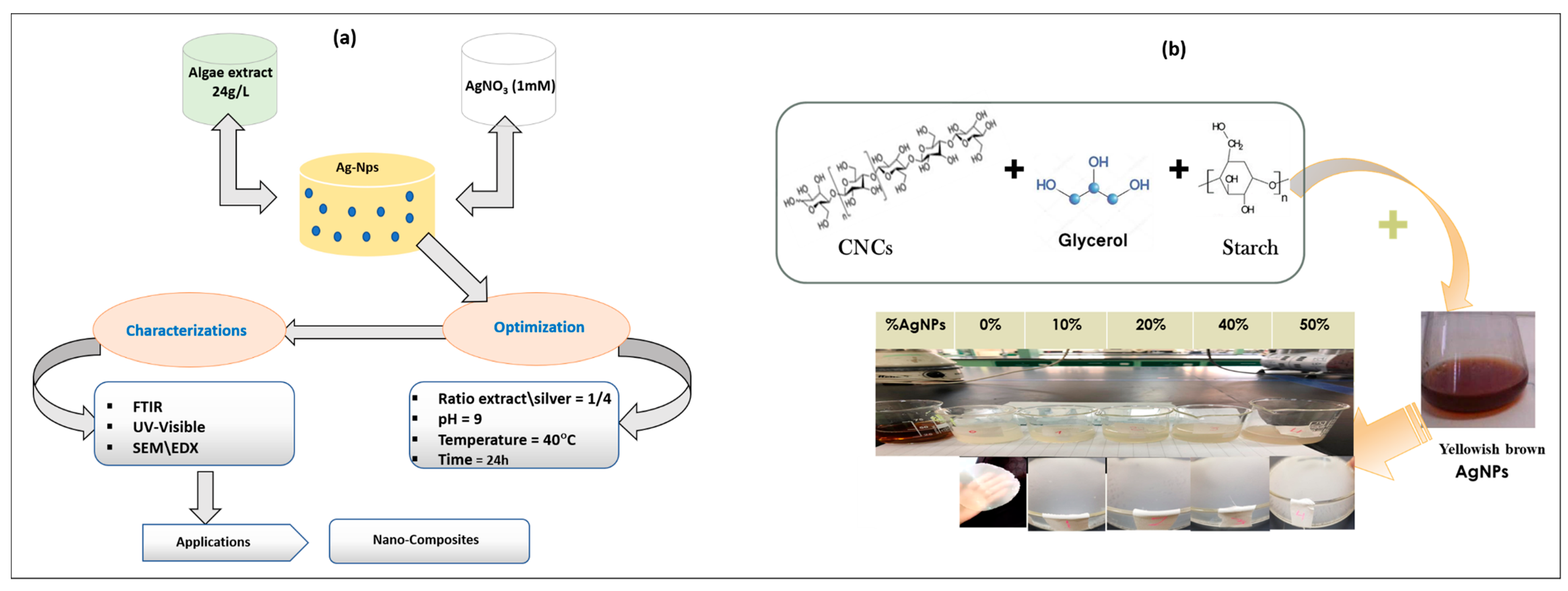 Polymers 15 02148 g001