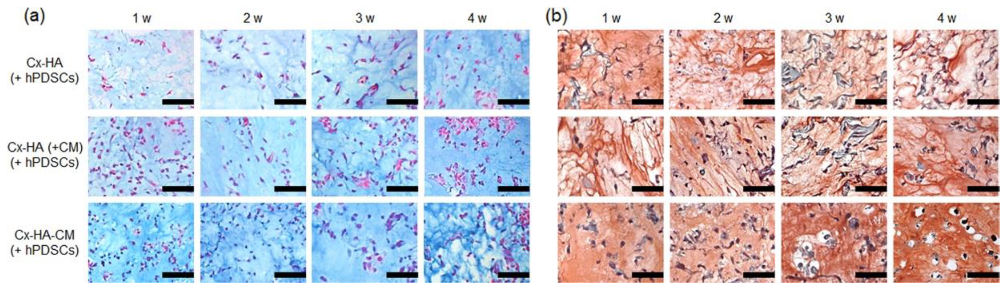 Polymers 15 02149 g003 Polymers 15 02149 g003