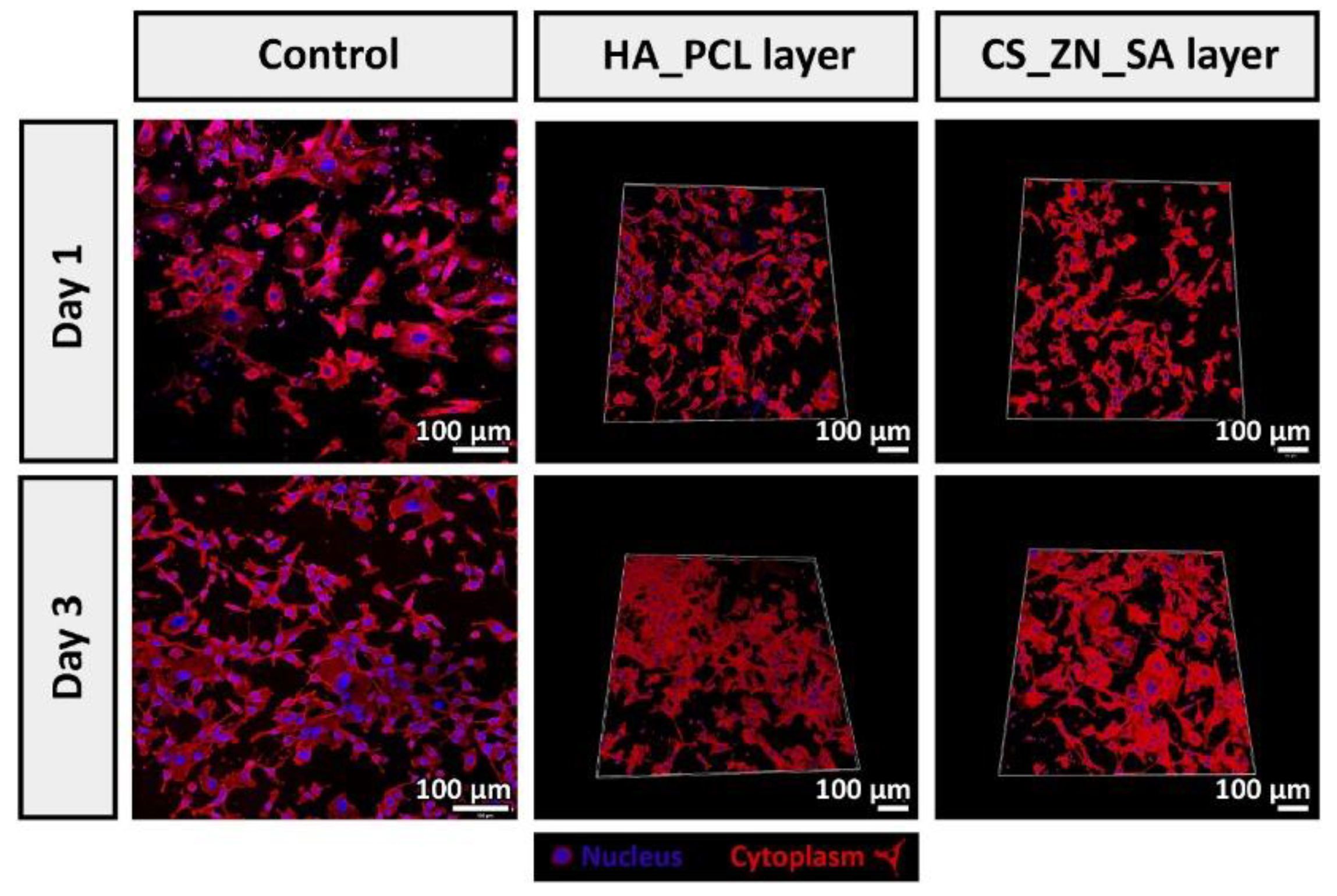 Polymers 15 02149 g004 Polymers 15 02149 g004