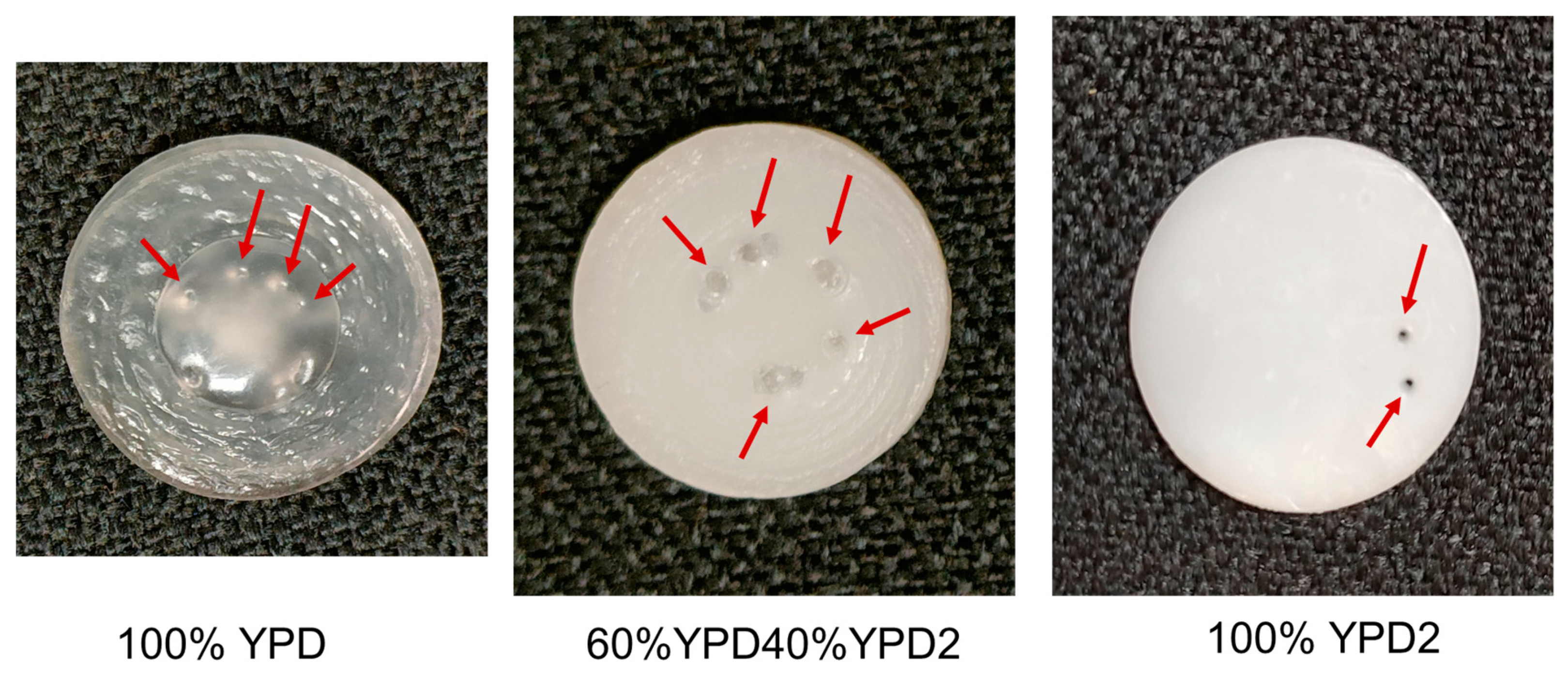 Polymers 15 02152 g011 Polymers 15 02152 g011