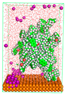 Polymers 15 02155 i046 Polymers 15 02155 i046