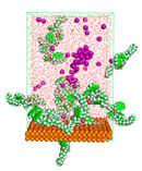 Polymers 15 02155 i049 Polymers 15 02155 i049