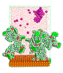 Polymers 15 02155 i055 Polymers 15 02155 i055