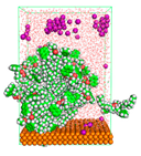 Polymers 15 02155 i056 Polymers 15 02155 i056