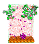 Polymers 15 02155 i063 Polymers 15 02155 i063