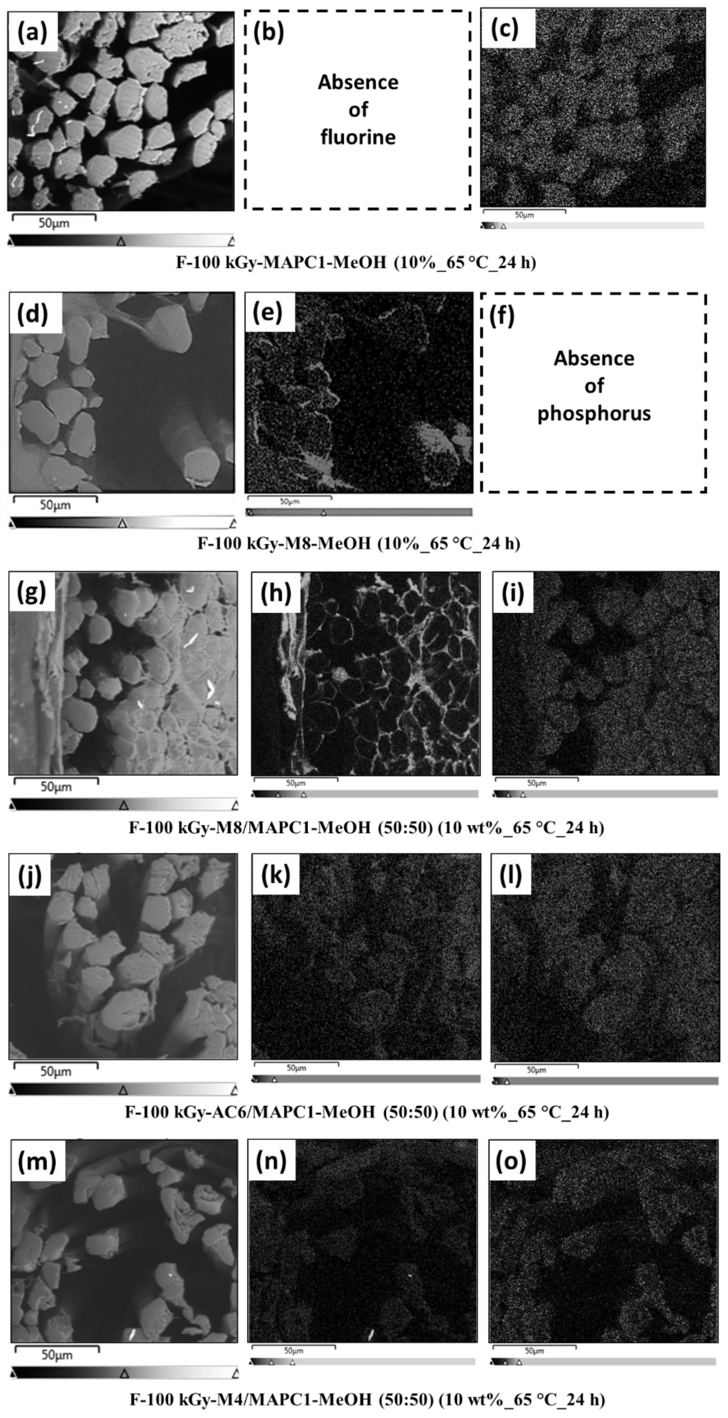 Polymers 15 02169 g005