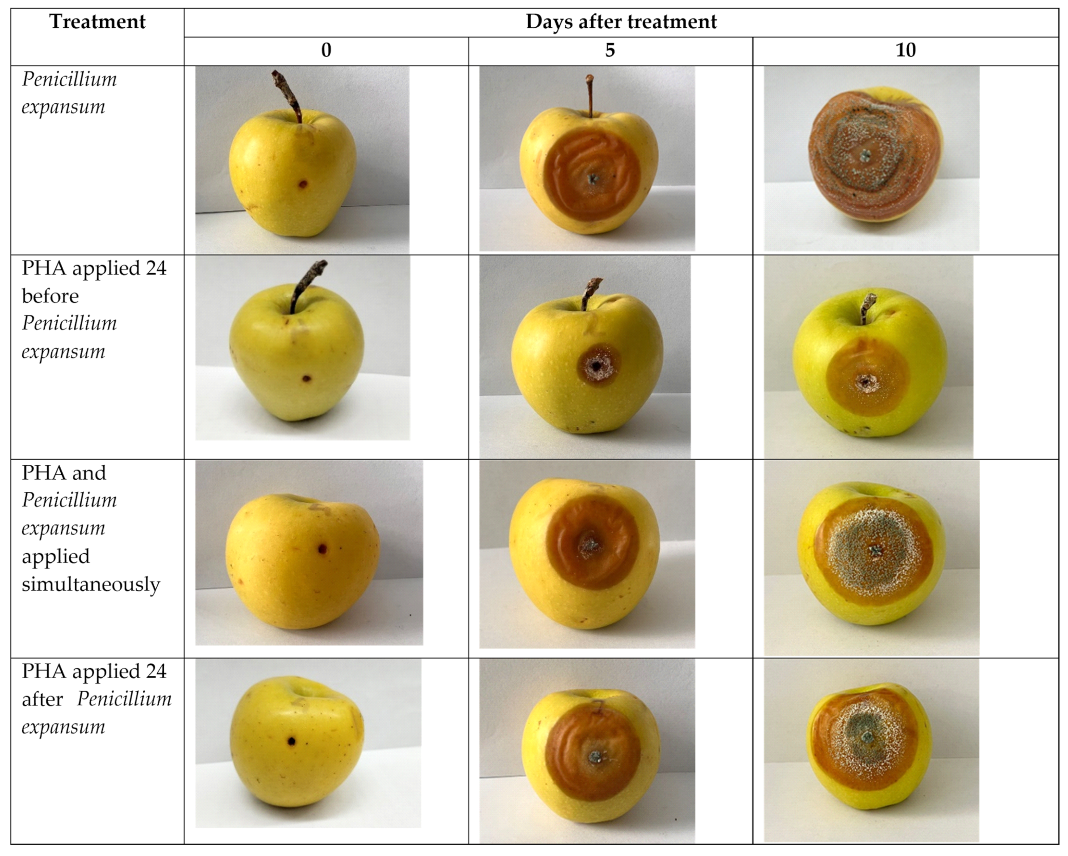 Polymers 15 02184 g004 Polymers 15 02184 g004