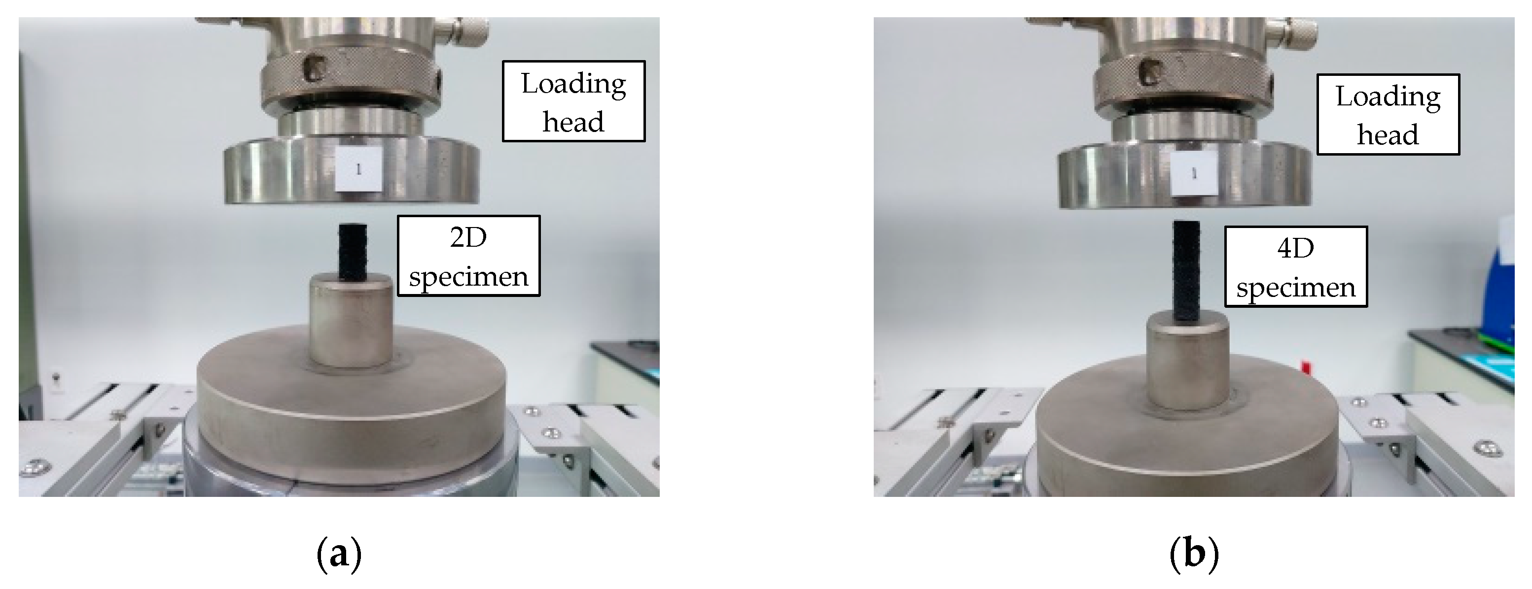 Polymers 15 02186 g004