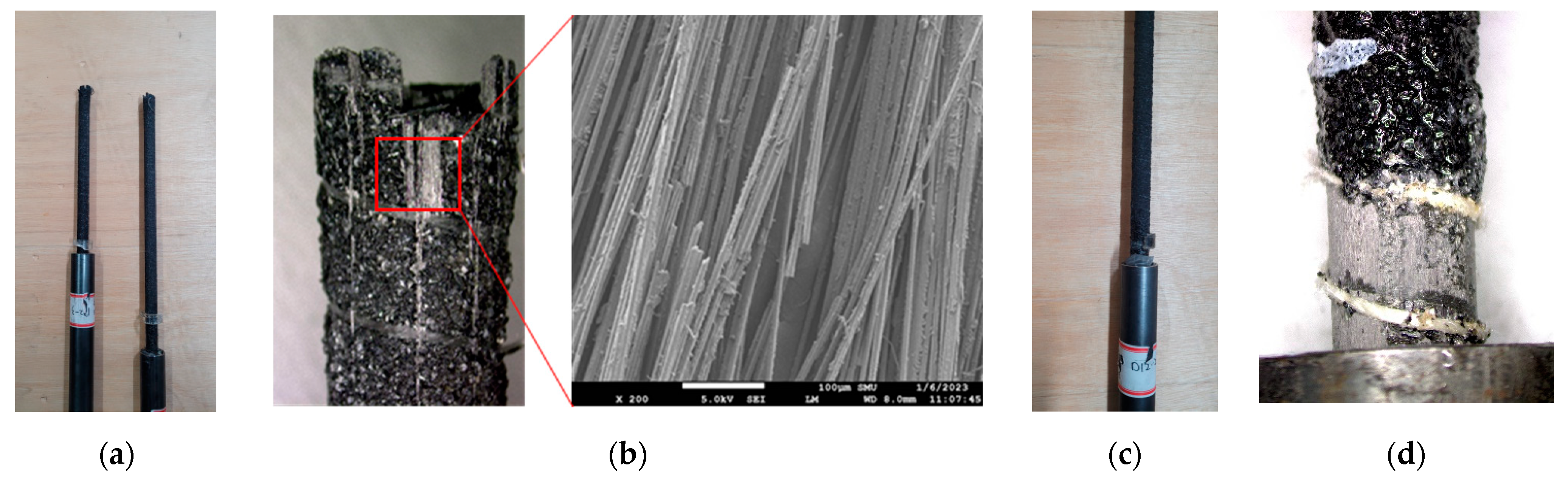 Polymers 15 02186 g007