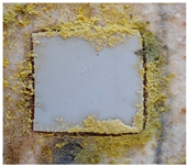 Polymers 15 02190 i005 Polymers 15 02190 i005