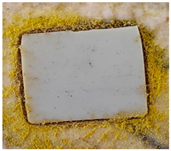 Polymers 15 02190 i006 Polymers 15 02190 i006