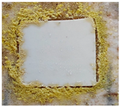 Polymers 15 02190 i008 Polymers 15 02190 i008