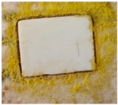 Polymers 15 02190 i009 Polymers 15 02190 i009