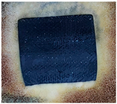 Polymers 15 02190 i018 Polymers 15 02190 i018