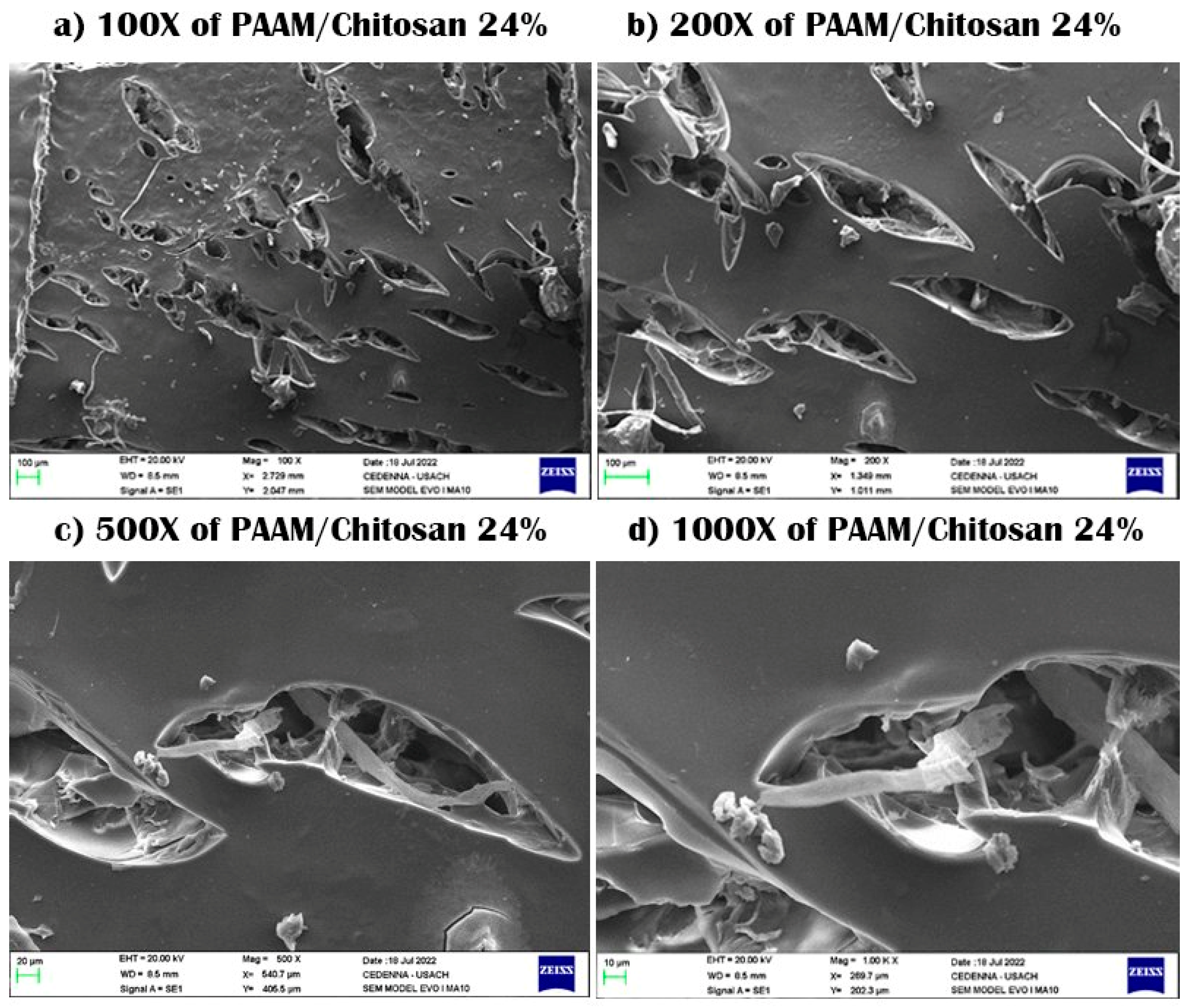 Polymers 15 02192 g002 Polymers 15 02192 g002